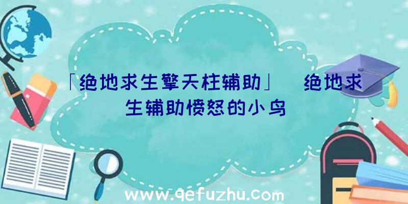 「绝地求生擎天柱辅助」|绝地求生辅助愤怒的小鸟